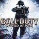 Call of Duty World at War