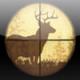 Deer Hunter 3D