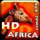 První slovenská hra pro iPad: Animal Ark - Africa HD je tady